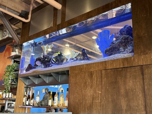 Blue Sushi Sake Grill by null