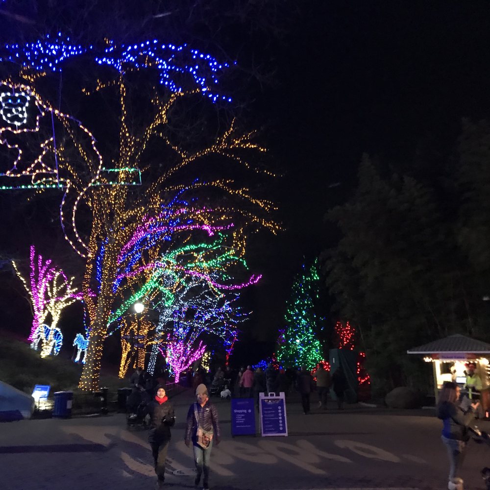 ZooLights - monkey lights - Zoos Near Me - Washington, DC, District of Columbia