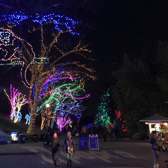 ZooLights - monkey lights - Zoos Near Me - Washington, DC, District of Columbia