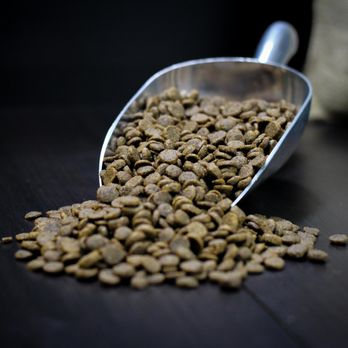 Pet Wants Indy - Ask us today for a personalized nutrition review for your pet! - Pet Services Near Me Pet Wants Indy - Ask us today for a personalized nutrition review for your pet! - Pet Services Near Me