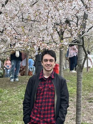 Japanese Garden by null