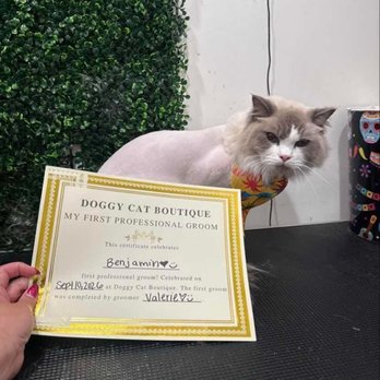 Doggy Cat Boutique - Pet Stores Near Me - Lomita, California Doggy Cat Boutique - Pet Stores Near Me - Lomita, California