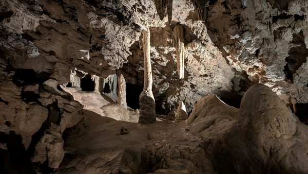 Oregon Caves National Monument & Preserve by null