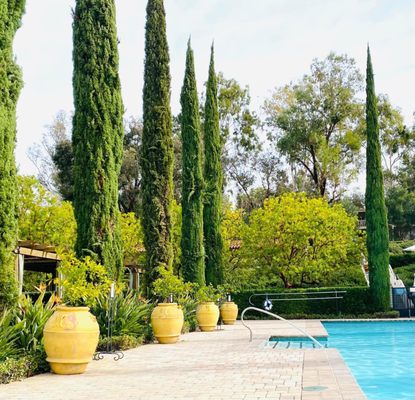 The Spa at Rancho Bernardo Inn by null