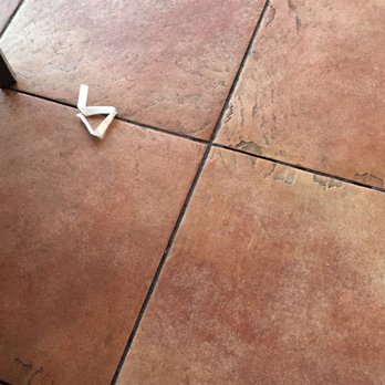 Oregano's - More trash on the patio - Pizza Near Me - Phoenix, Arizona Oregano's - More trash on the patio - Pizza Near Me - Phoenix, Arizona