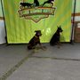 Canine Resource Center