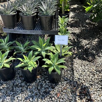 Curby's Nursery - Nurseries & Gardening Near Me - Temecula, California