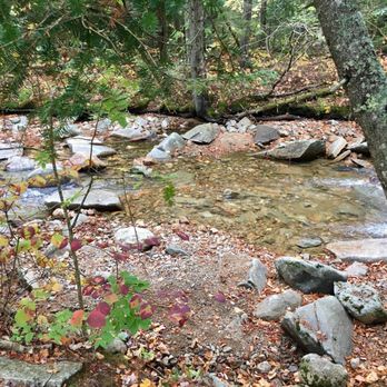The Basin - Parks Near Me The Basin - Parks Near Me