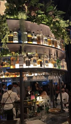 V Modern Italian by null