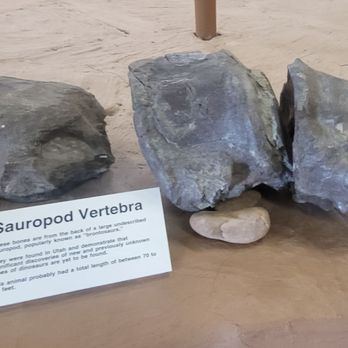 Dinosaur Museum - Museums Near Me - Blanding, Utah
