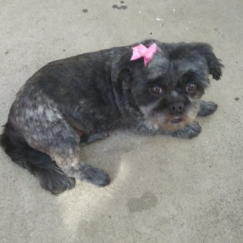 Barks N' Bubbles Mobile Grooming - Pet Groomers Near Me Barks N' Bubbles Mobile Grooming - Pet Groomers Near Me