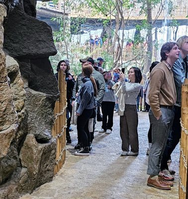 The Dallas World Aquarium by null