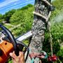 Photo of JRM Tree Service Care For Life