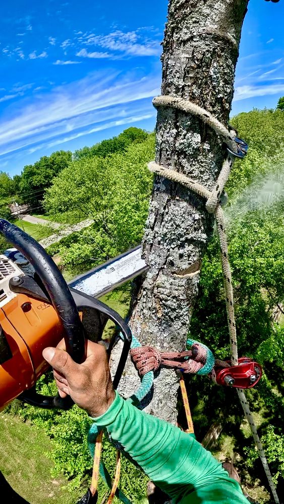JRM Tree Service Care For Life - tree service in Lebanon, TN