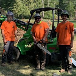 Cameron Pierce Tree Services