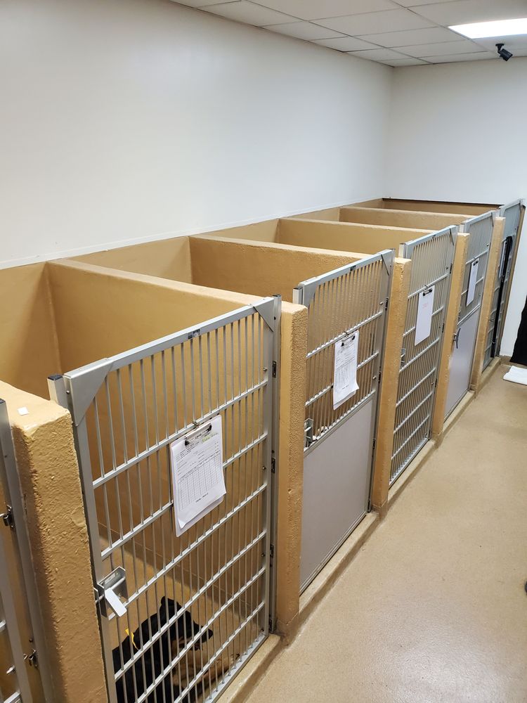 Weston Road Animal Hospital - pet boarding facility in Weston, FL
