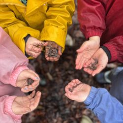 Little Explorers Early Education