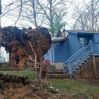 D. Vauter Tree and Stump Service - Tree Services Near Me D. Vauter Tree and Stump Service - Tree Services Near Me