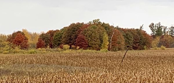 Sherburne National Wildlife Refuge by null