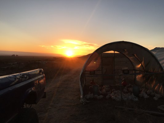 Fogline Farm by null