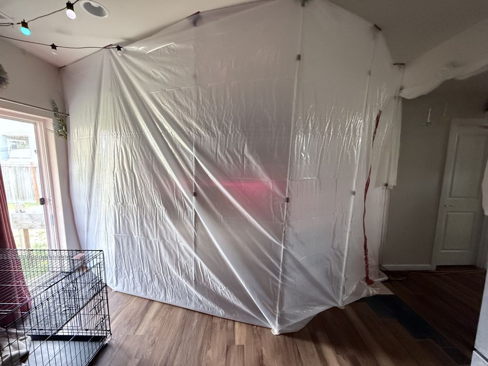 Evergreen Steam Clean & Restoration