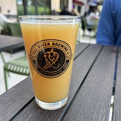 Fall River Brewery - Blood knot