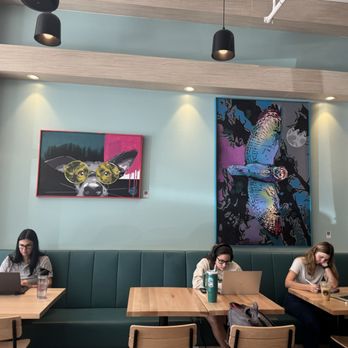 Southern Grounds - Coffee & Tea Near Me - St. Petersburg, Florida Southern Grounds - Coffee & Tea Near Me - St. Petersburg, Florida