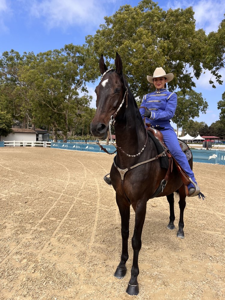 Johnny 6 Stables - equestrian in Costa Mesa, CA