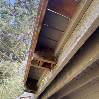 Salishan Coastal Lodge by SCP Hotels - Cobwebs all over decking - Hotels Near Me - Gleneden Beach, Oregon