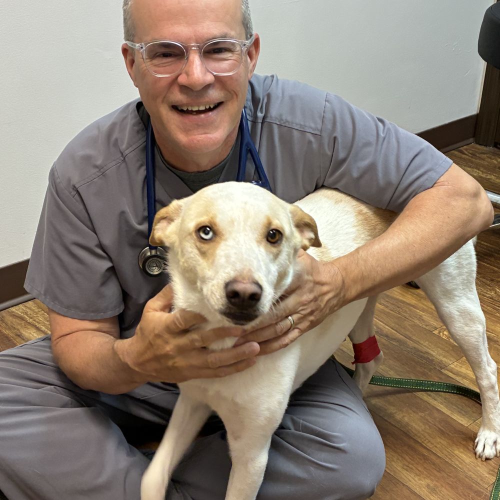 Hermitage Animal Clinic - Dr. Ray with Quinn - Veterinarians Near Me - Hermitage, Tennessee Hermitage Animal Clinic - Dr. Ray with Quinn - Veterinarians Near Me - Hermitage, Tennessee