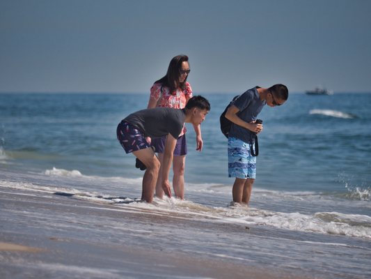 Island Beach State Park by null