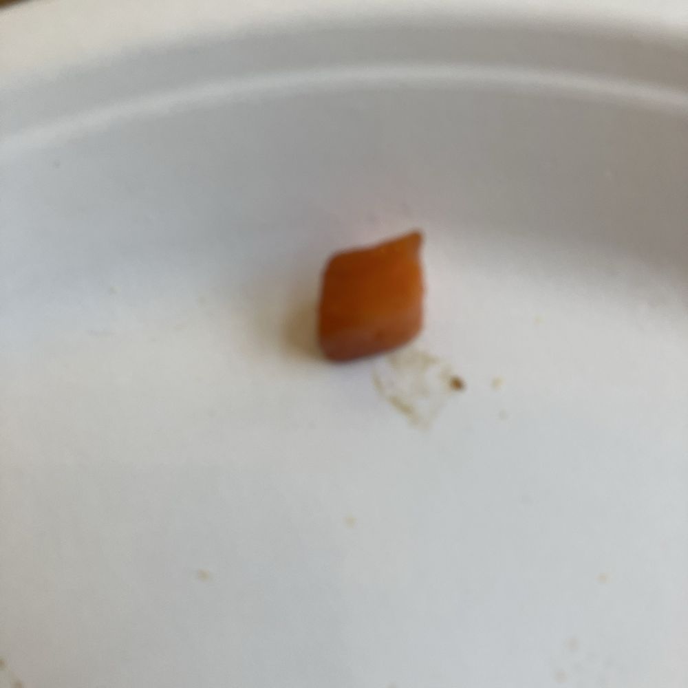 Crumb was eaten Crumb was eaten