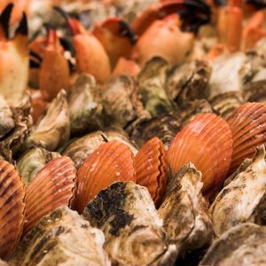 Best French Fries in New York