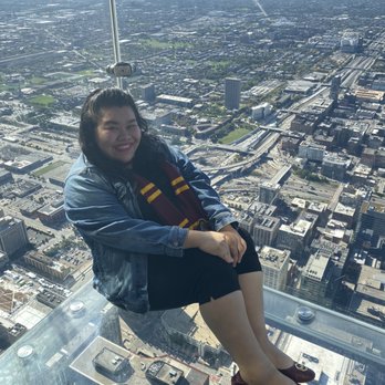 Skydeck Chicago - Observatories Near Me - Chicago, Illinois