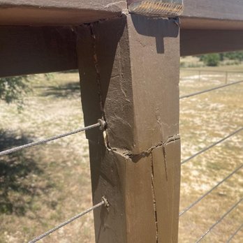 Palm Construction - Decks & Railing Near Me - Austin, Texas Palm Construction - Decks & Railing Near Me - Austin, Texas