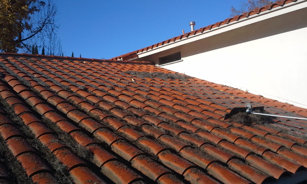 Slide of Coastal Softwash USA