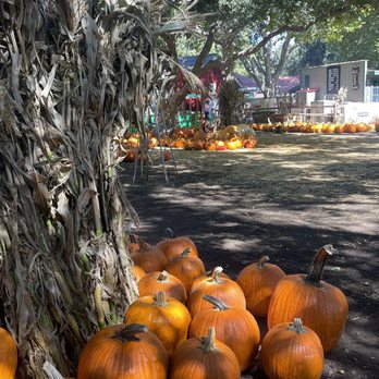 Irvine Regional Park - Pumpkin patch! - Parks Near Me - Orange, California Irvine Regional Park - Pumpkin patch! - Parks Near Me - Orange, California