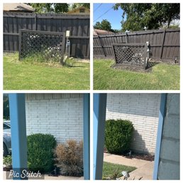 Before and after of grass removal/box wood shrub removal Before and after of grass removal/box wood shrub removal