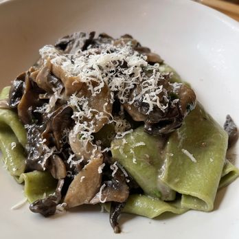 Terra - Pappardelle Al Funghi, homemade spinach pappardelle with mushroom ragu, garlic and 18 month parmigiano reggiano. - Italian Near Me - Dallas, Texas Terra - Pappardelle Al Funghi, homemade spinach pappardelle with mushroom ragu, garlic and 18 month parmigiano reggiano. - Italian Near Me - Dallas, Texas
