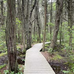 Cape Cod National Seashore