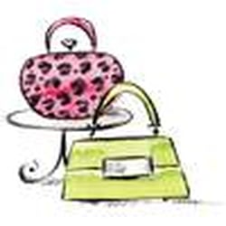 The Handbag Hag
