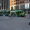 Downtown Food Truck Rodeo gift card