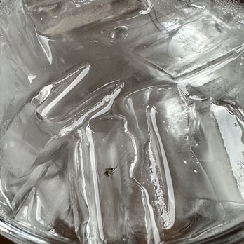 Yard House - Fly in water - New American Near Me - Lombard, Illinois
