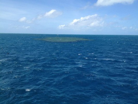 Great Barrier Reef by null