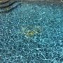 Flotta Pool Service