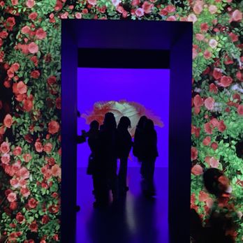 Arte Museum - Art Museums Near Me - New York, New York