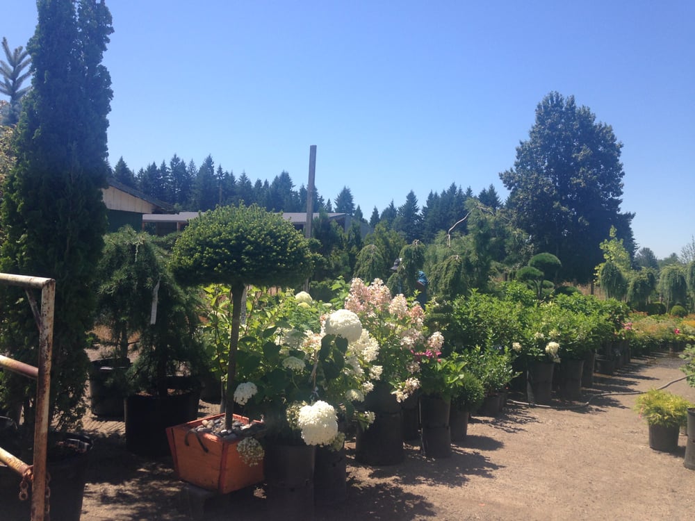 Lopez Nursery Closed 11 Photos Nurseries Gardening 11418 Nurseries Gardening