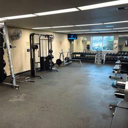 Modern Athletics - Free Weights