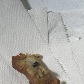 El Pollo Loco - street style bowl Chicken with dead fly on it - Fast Food Near Me - Gilroy, California