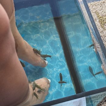 Holistic - Fish pedicure - Day Spas Near Me - Puerto Vallarta, JAL